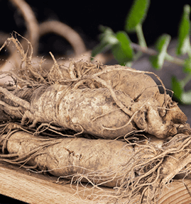 ����ϣ����(WilliamHill)�ٷ���վ